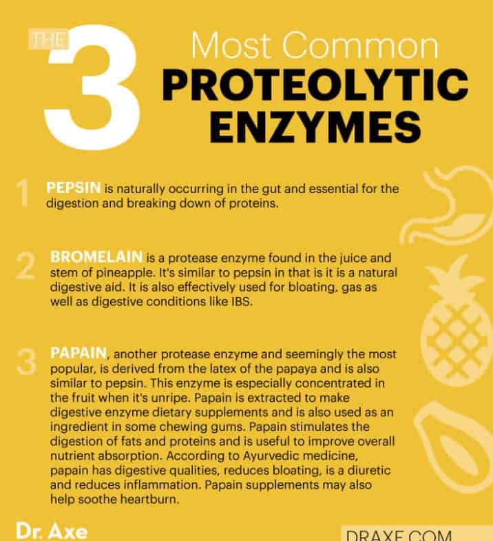 proteolytic-enzymes-benefits-sources-supplements-and-more-dr-axe