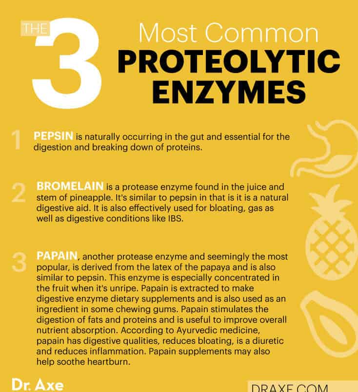 3 most common proteolytic enzymes - Dr. Axe