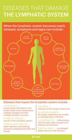 Lymphatic System: Definition, Function and How to Maintain - Dr. Axe