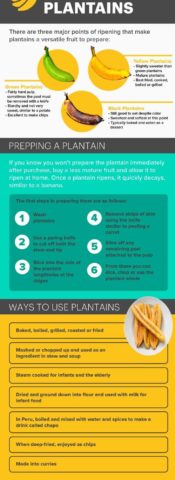 Plantains Nutrition, Benefits, Recipes and How to Prepare - Dr. Axe