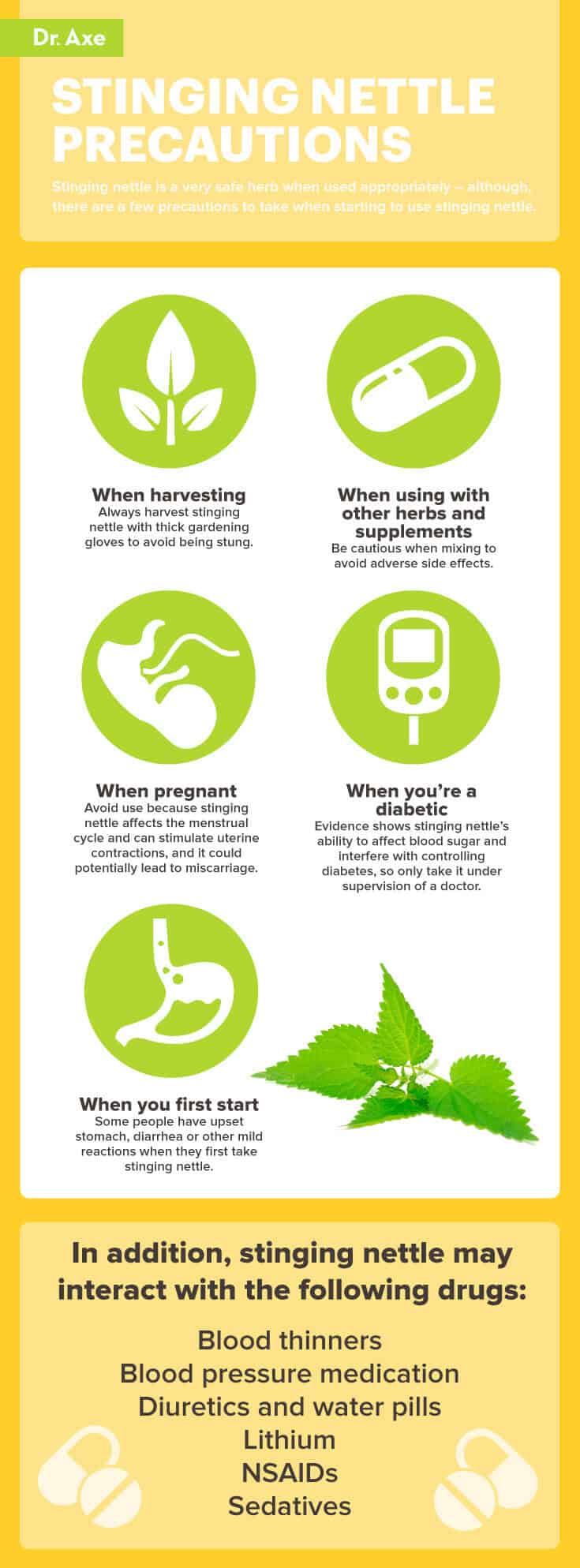 Stinging nettle precautions - Dr. Axe