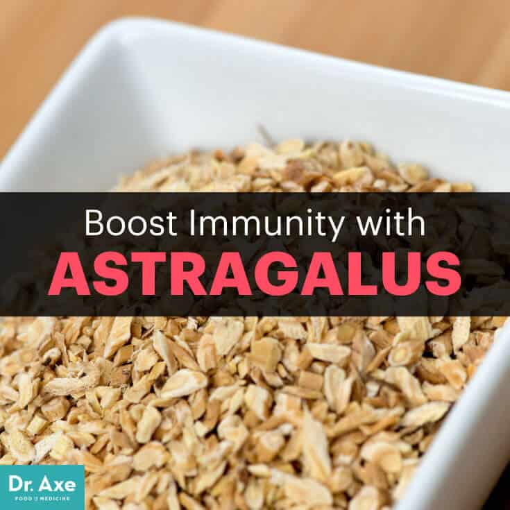 Astragalus - Dr. Axe