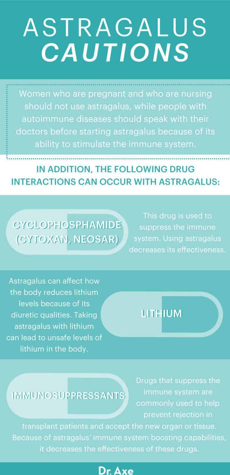 Do Artemisia Annua Benefits Outweigh the Potential Risks? - Dr. Axe