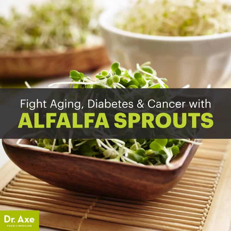 alfalfa-sprouts-benefits-5-will-keep-you-young-dr-axe