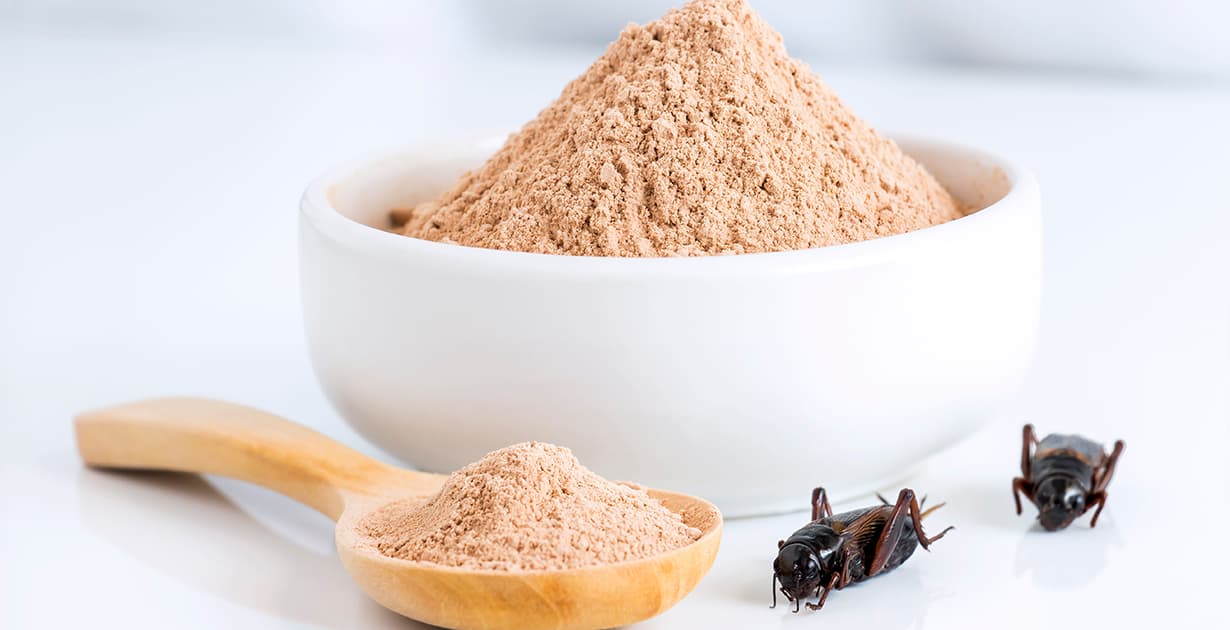 Cricket Flour Nutrition Facts, Benefits vs. Risks Dr. Axe