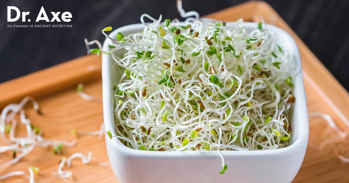 Alfalfa Sprouts Benefits and How to Grow - Dr. Axe