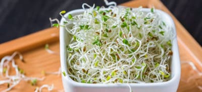 Alfalfa Sprouts Benefits, Nutrition and How to Grow - Dr. Axe