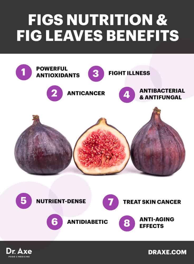 Figs nutrition and fig leaves benefits - Dr. Axe