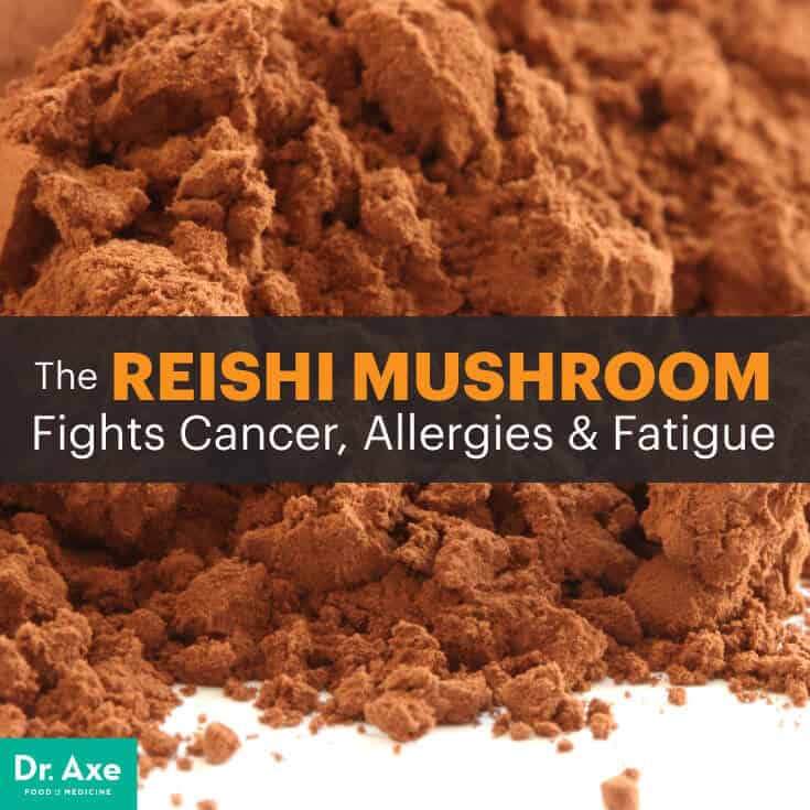 Reishi mushroom - Dr. Axe