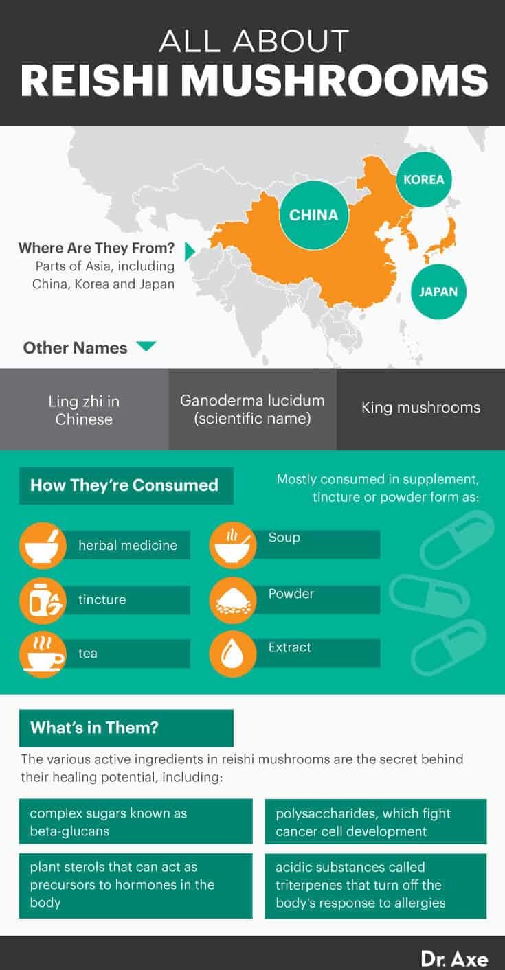 All about the reishi mushroom - Dr. Axe