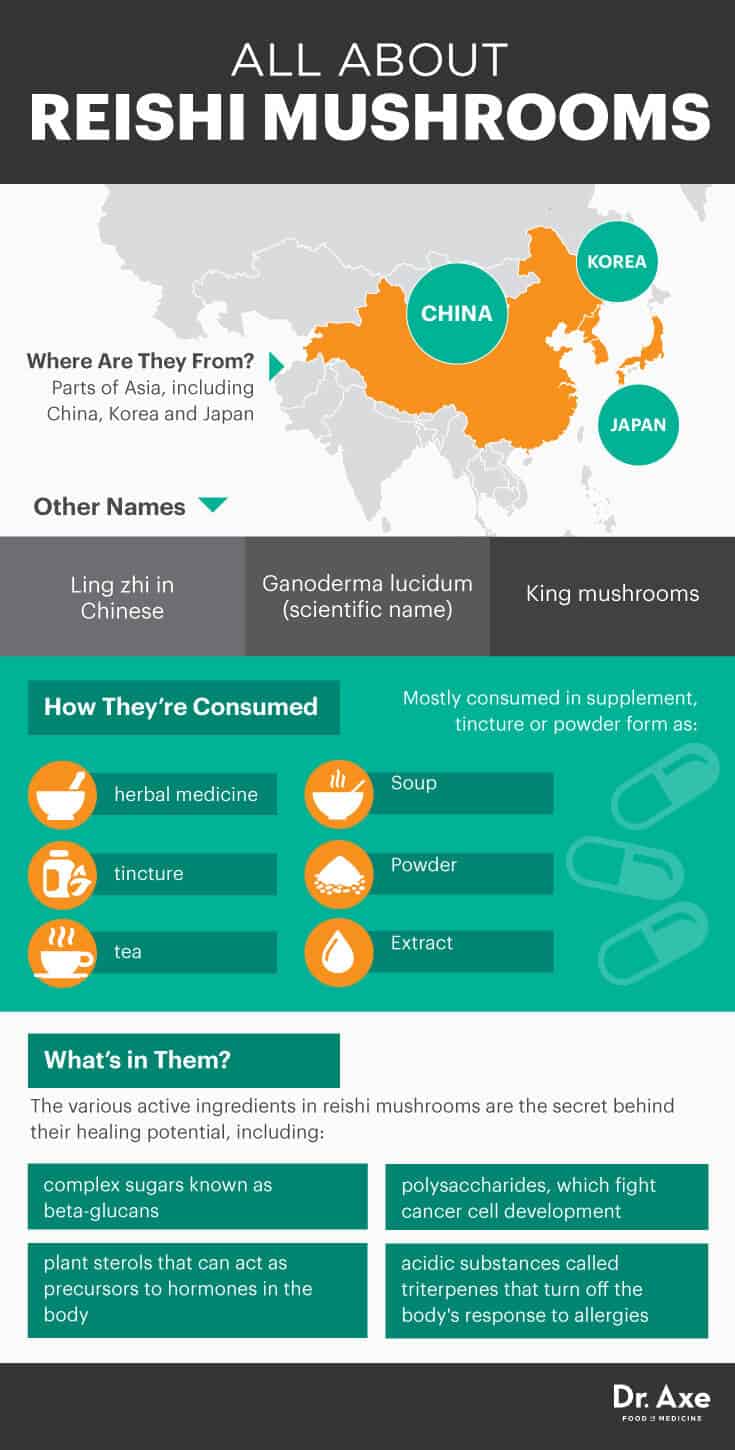 All about the reishi mushroom - Dr. Axe
