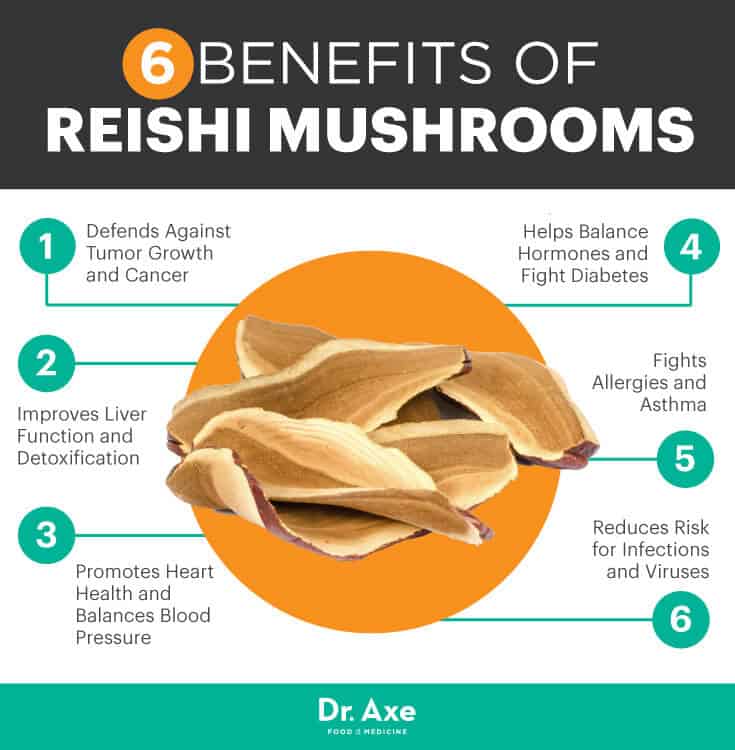 Image result for reishi mushrooms