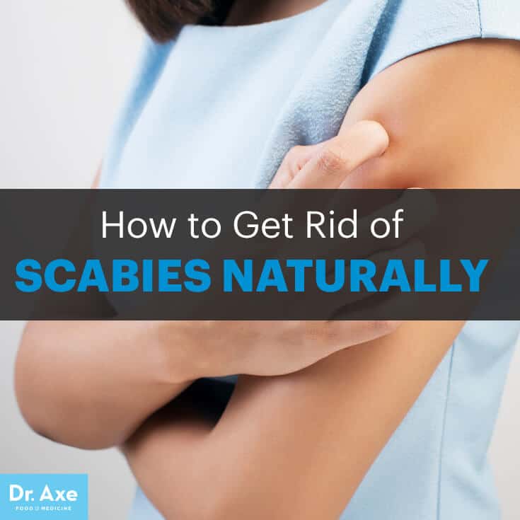 Scabies 7 Natural Treatments That Work Fast Dr Axe
