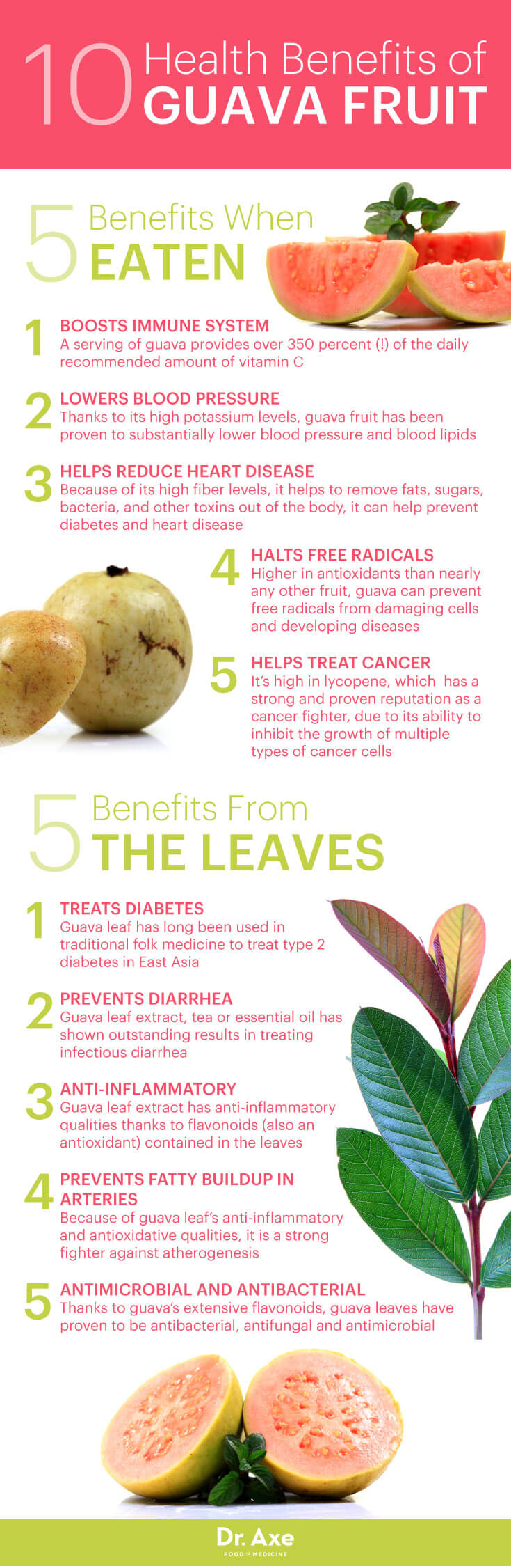 Guava: Top Antioxidant Food for the Immune System - Dr. Axe