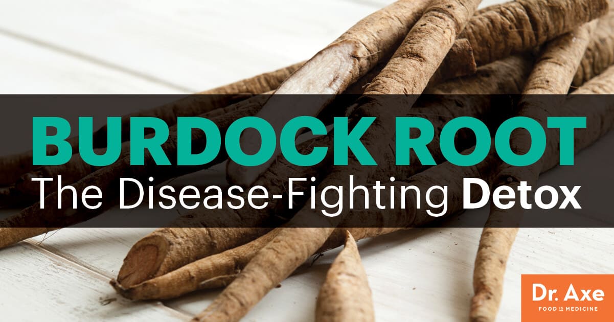 the-uses-and-benefits-of-burdock-root