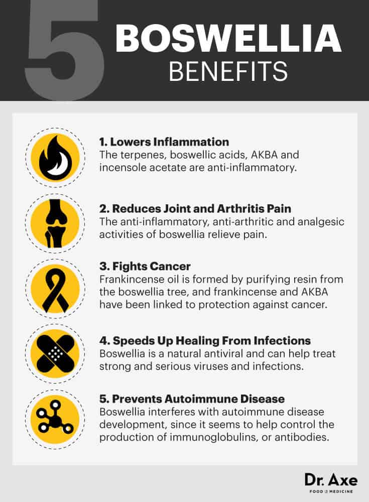 Benefícios Boswellia - Dr Axe