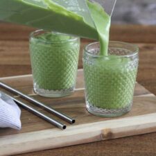 Gut-Healing Smoothie Recipe-image