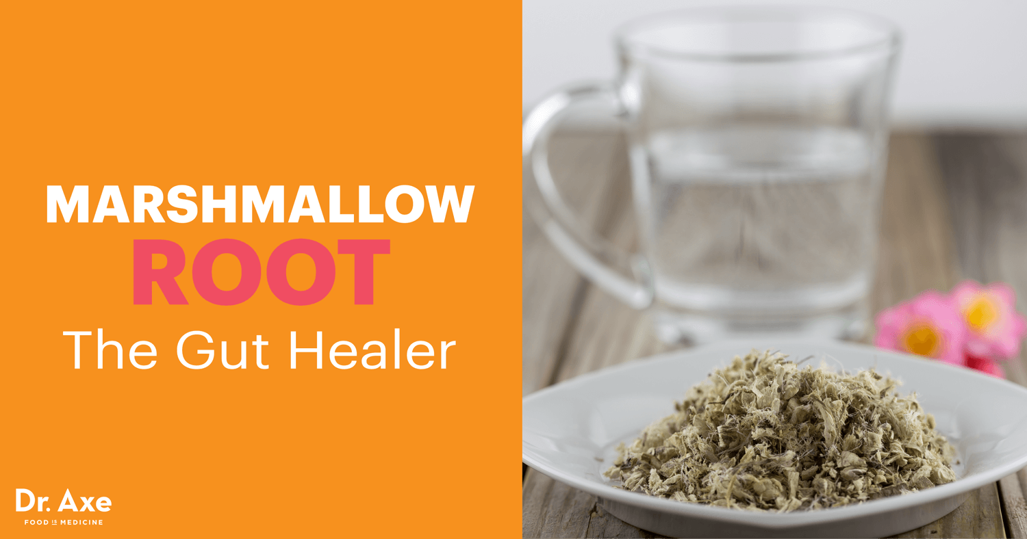 Marshmallow Root Benefits Uses Risks Side Effects And More Dr