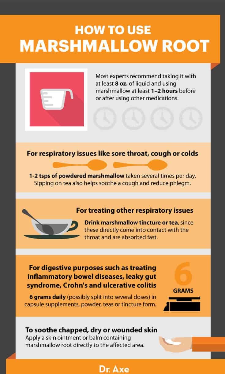 Marshmallow root uses - Dr. Axe