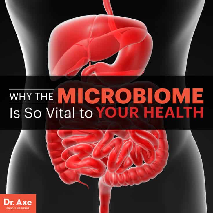 Microbiome - Dr. Axe