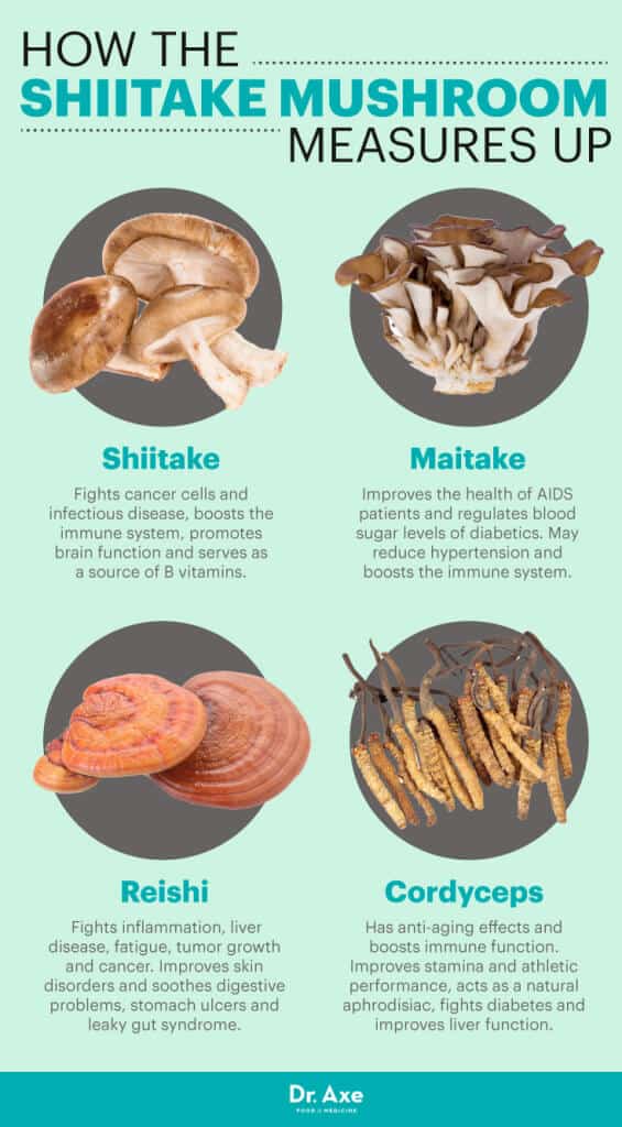 Shiitake Mushrooms 8 Scientifically Proven Benefits Dr Axe 8429