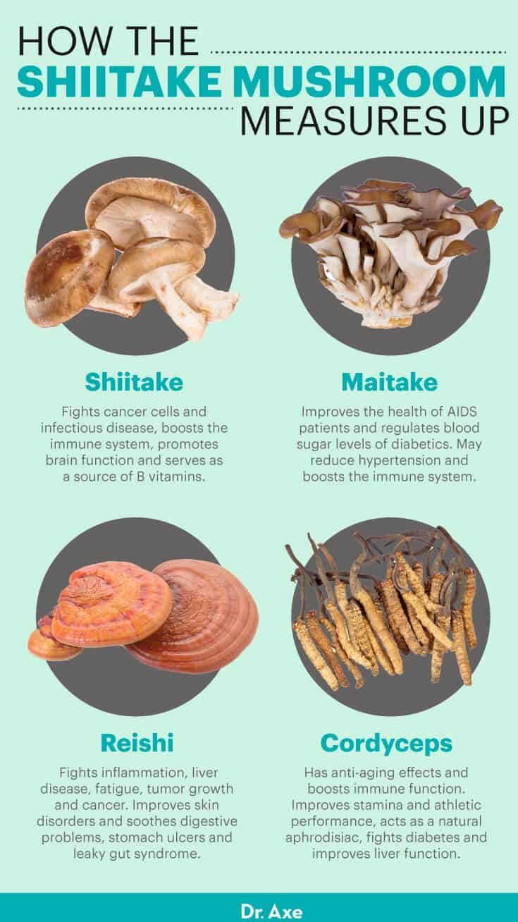 Shiitake mushrooms vs. other mushrooms - Dr. Axe