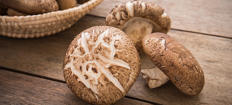 Shiitake Mushrooms Benefits Nutrition Recipes And Side Effects Dr Axe