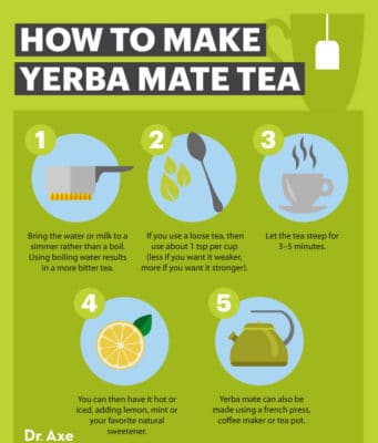 Yerba Mate Benefits, How To Make And Side Effects - Dr. Axe