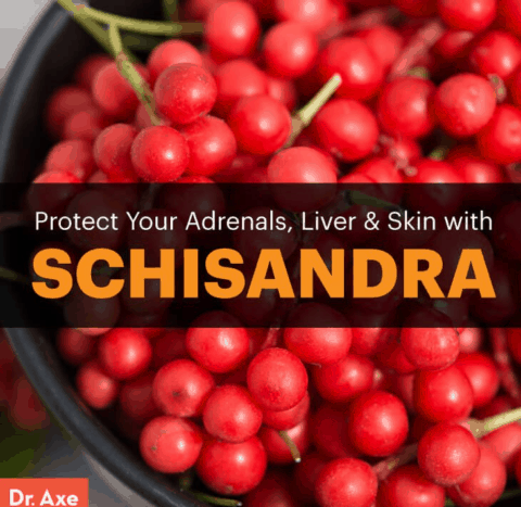 Schisandra Herb: Benefits And Uses For Adrenals And More - Dr. Axe