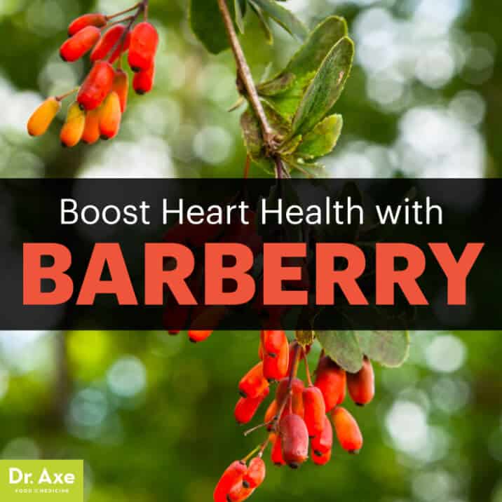 Barberry The HeartHealthy Herb that Cleanses Your Gut