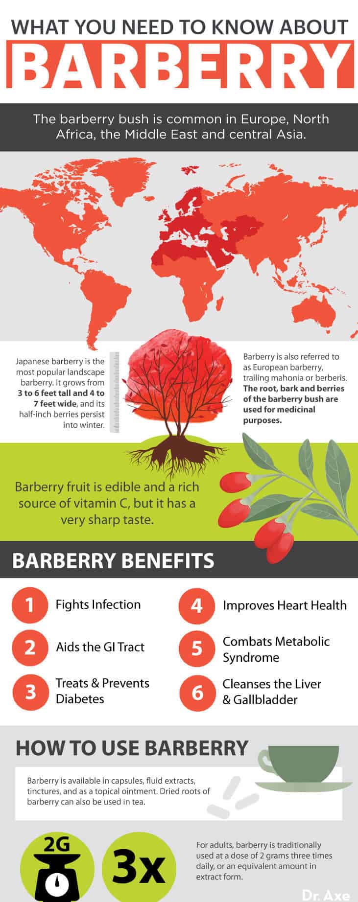 Barberry benefits - Dr. Axe