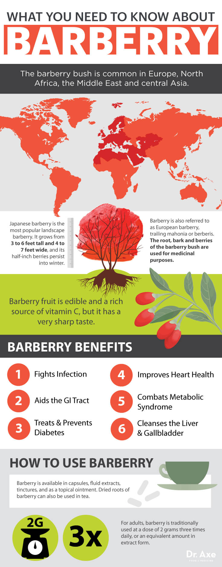 Barberry benefits - Dr. Axe