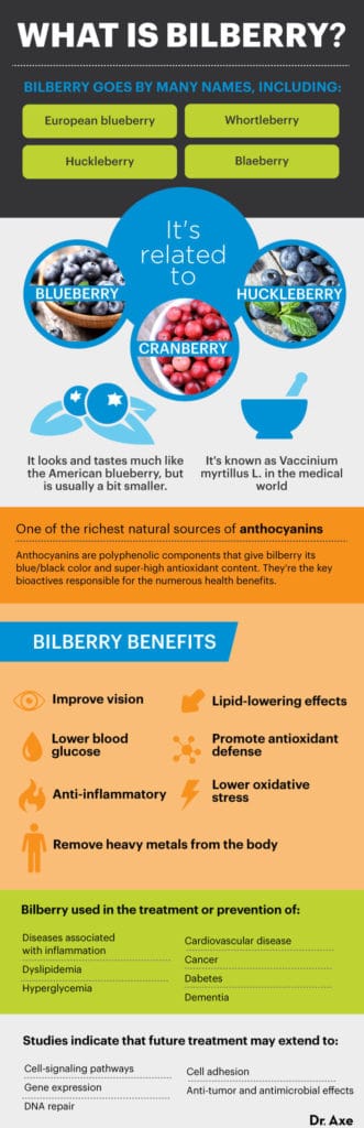 Bilberry Benefits, Uses, Types and Side Effects - Dr. Axe