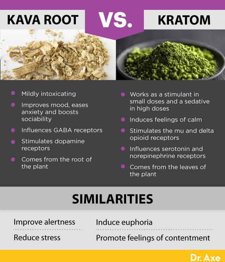 Kava Benefits vs. Dangers, Including Dosage Concerns Dr. Axe