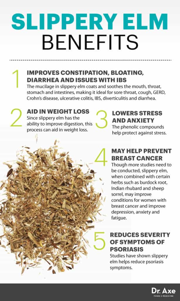 Slippery Elm The Digestive Aid that May Fight Breast Cancer Dr. Axe