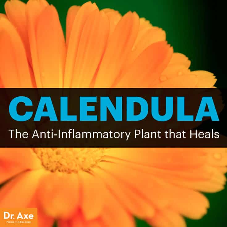 Calendula - Dr. Axe