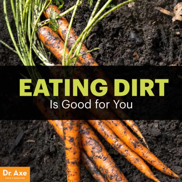 Eating Dirt or Soil‐Based Organisms (SBOs) to Boost Gut Health Dr. Axe