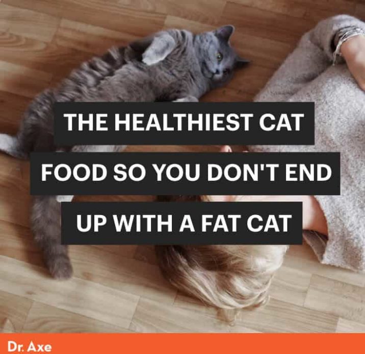 What's the Healthiest Cat Food So We Don't Get Fat Cats? - Dr. Axe