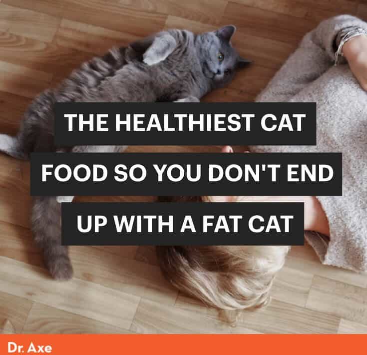 Healthiest cat food - Dr. Axe