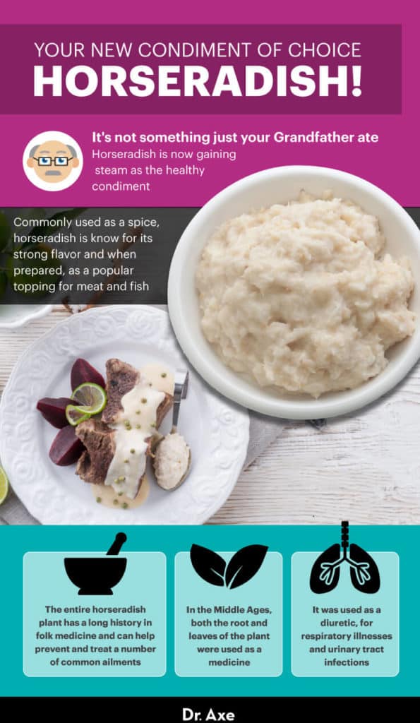 Horseradish Root Benefits, Uses, Nutrition and Side Effects Dr. Axe