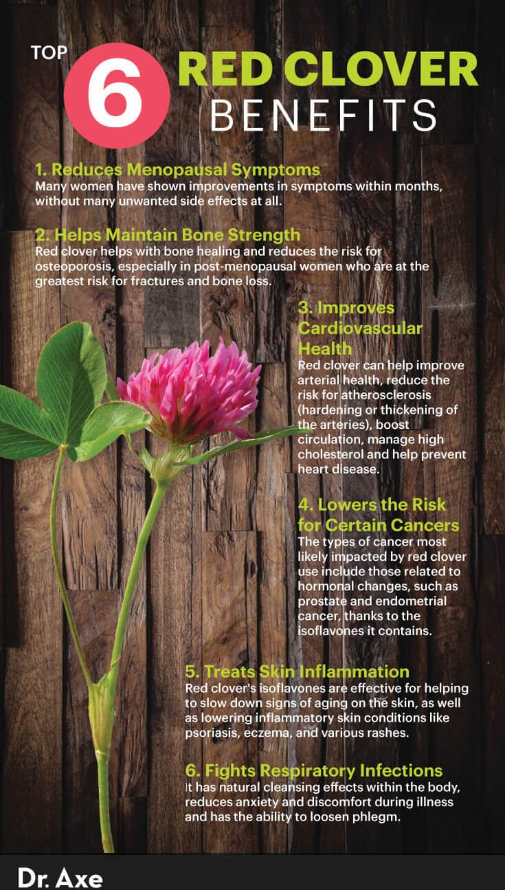 Red clover benefits - Dr. Axe