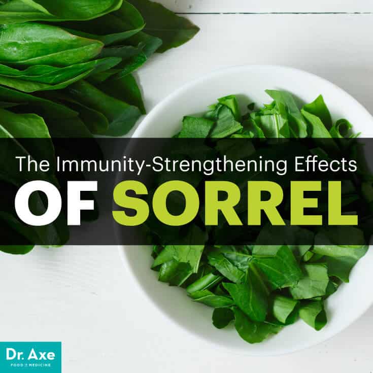 Sorrel - Dr. Axe
