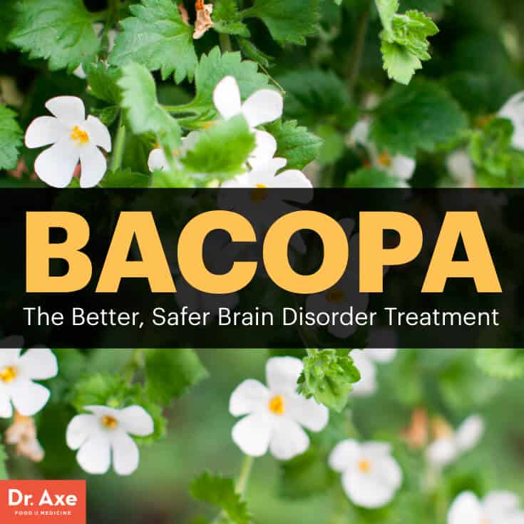 Bacopa - Dr. Axe