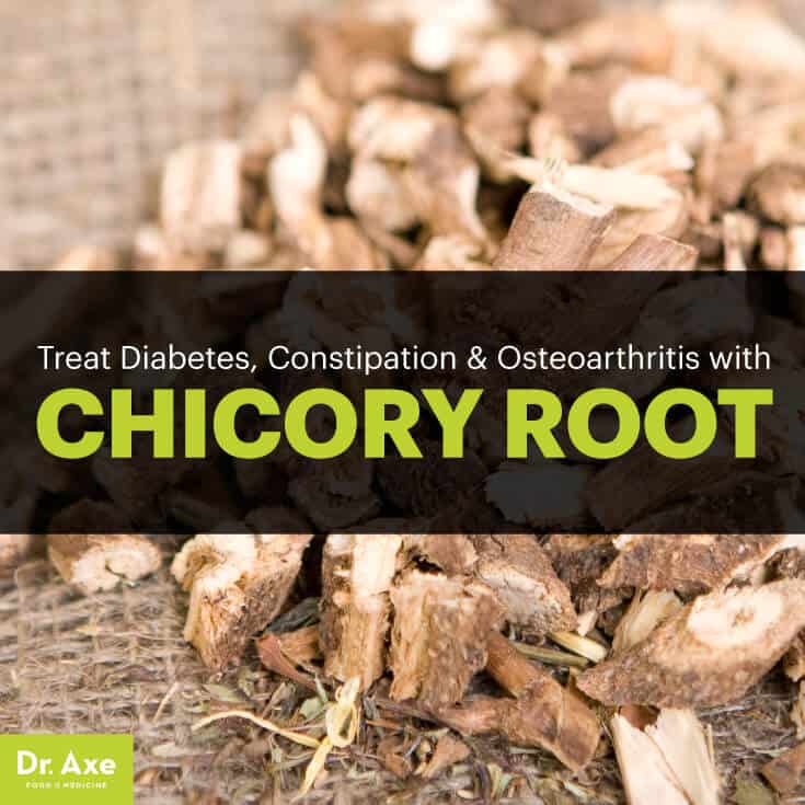 Chicory root - Dr. Axe