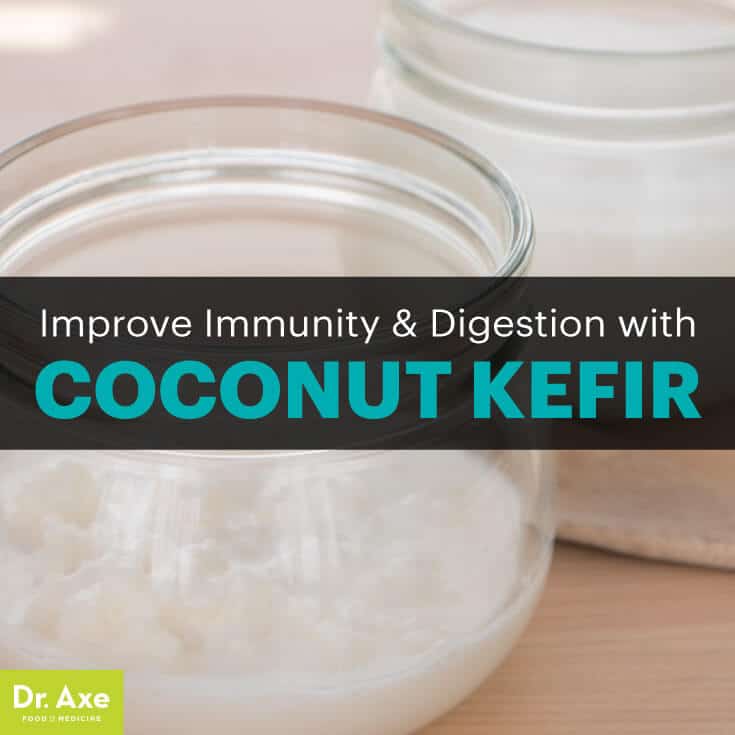 Coconut kefir - Dr. Axe