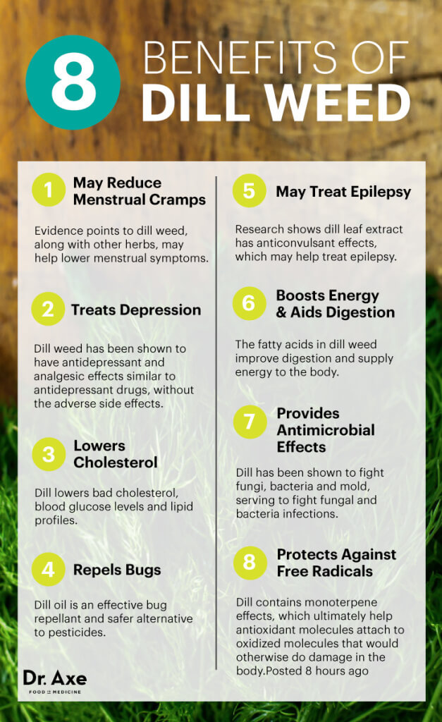 8 Surprising Dill Weed Benefits (#6 Is Energizing) - Dr. Axe