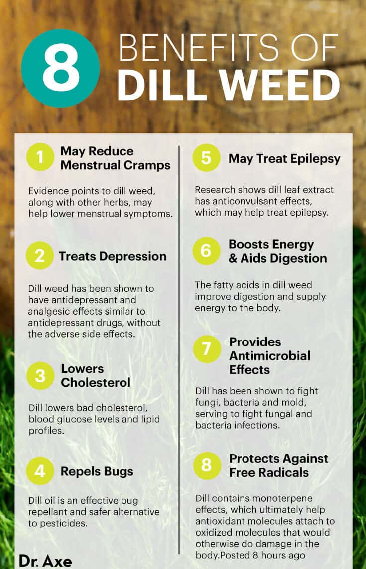Dill weed benefits - Dr. Axe