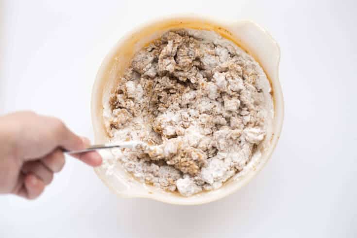 Snickerdoodle step 2 - Dr. Axe