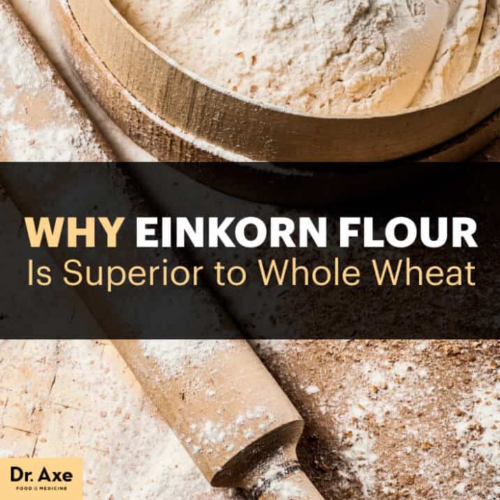 Einkorn Flour The Superior Ancient Grain Compared to Whole Wheat Dr. Axe