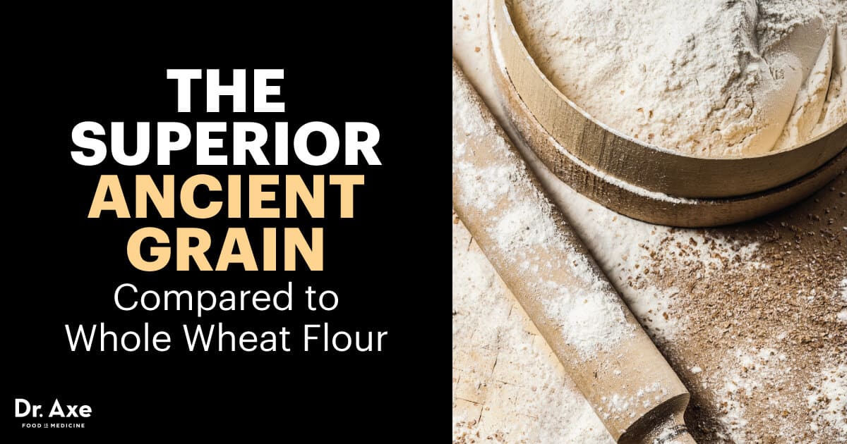 Einkorn Flour: Superior Ancient Grain Compared to Whole